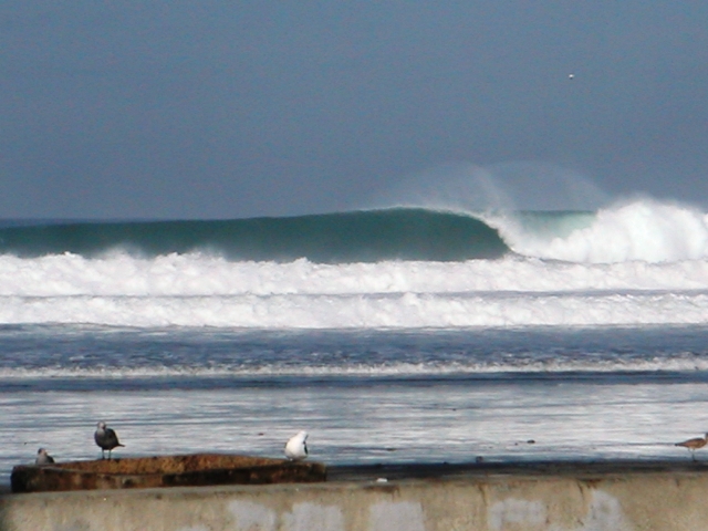 La Jolla Shores Surfing Association
